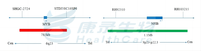 中国·拉斯维加斯(3499·官方认证)网站-Officialwebsite
